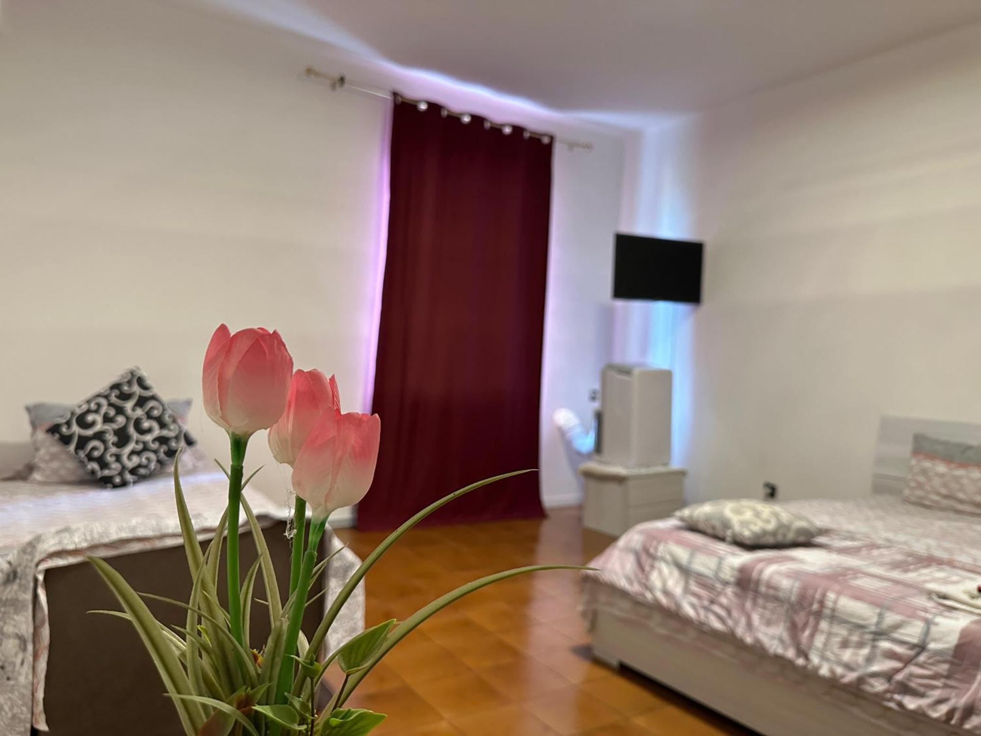 Good Morning Venice Apartment Екстер'єр фото